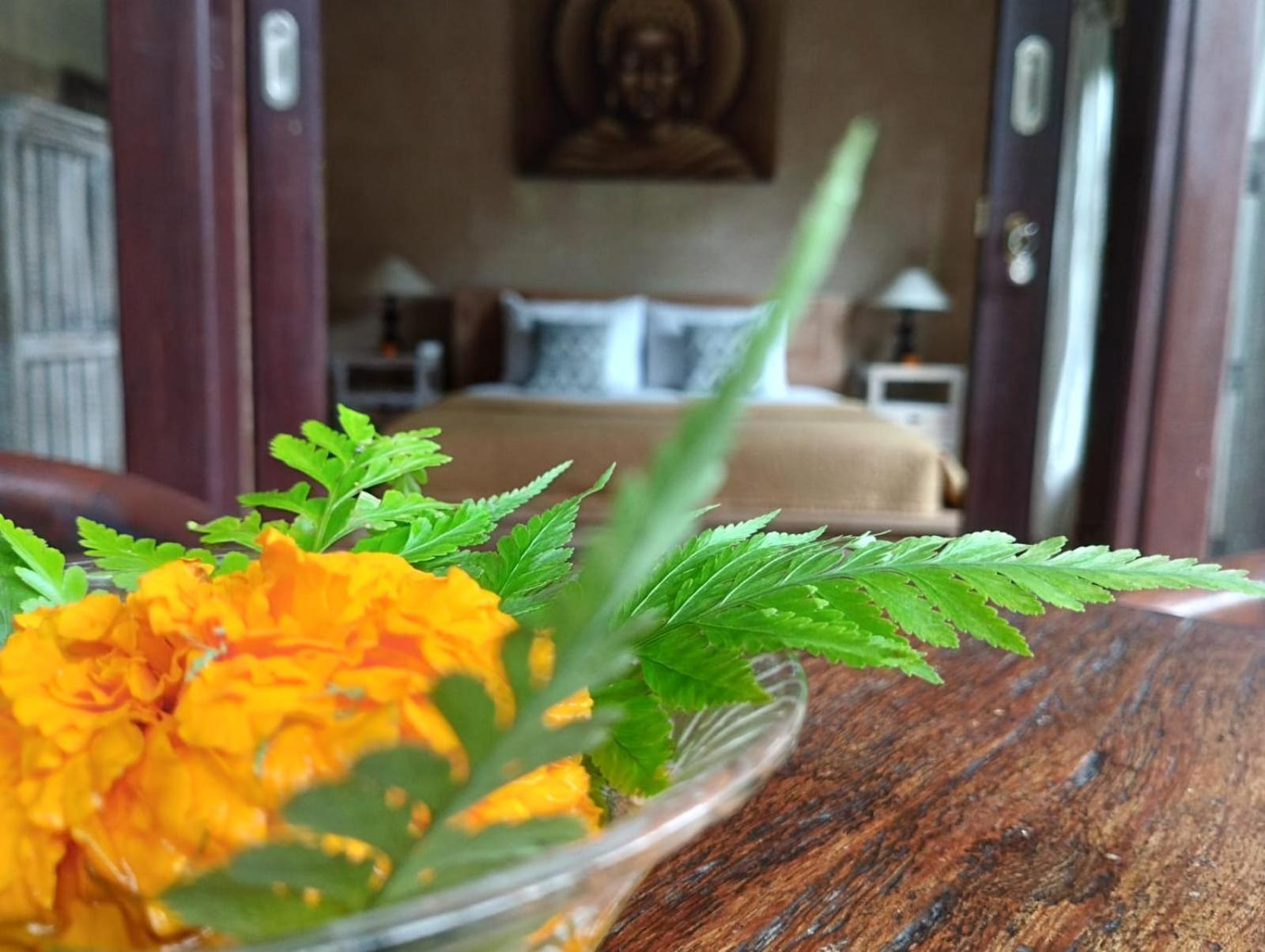 Umah Ubud Guest House 외부 사진