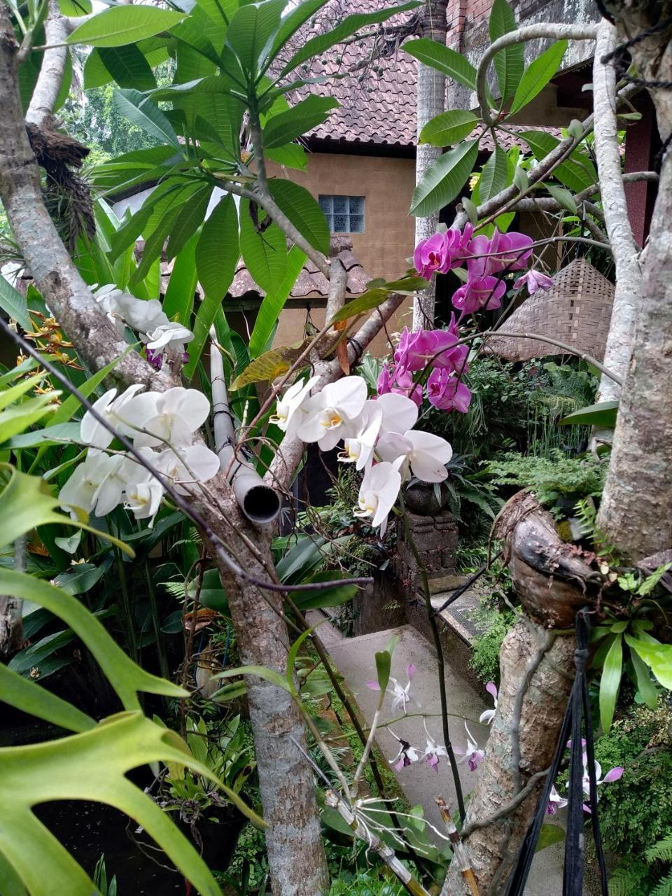 Umah Ubud Guest House 외부 사진
